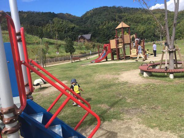 京都 子どもがハマった 西代里山公園 芝生広がり開放的 関西 ママ目線の遊び場レポ